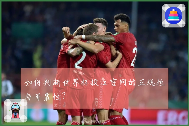 如何判断世界杯投注官网的正规性与可靠性？