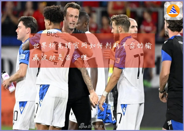 世界杯竞猜官网如何判断平台的输赢波动是否合理